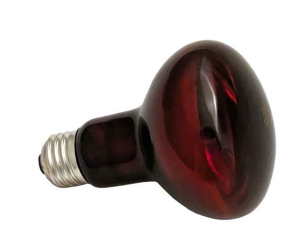 IRed Max Red-Infrared Bulb, 150W
