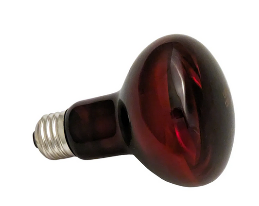 IRed Max Red-Infrared Bulb, 250W