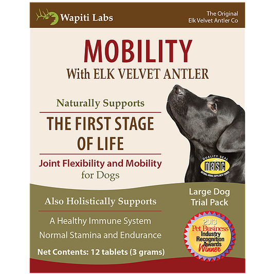 Dog Mobility Trial Pack for Large Dogs
