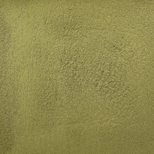 Olive Leaf Powder - Organic, 1lb
