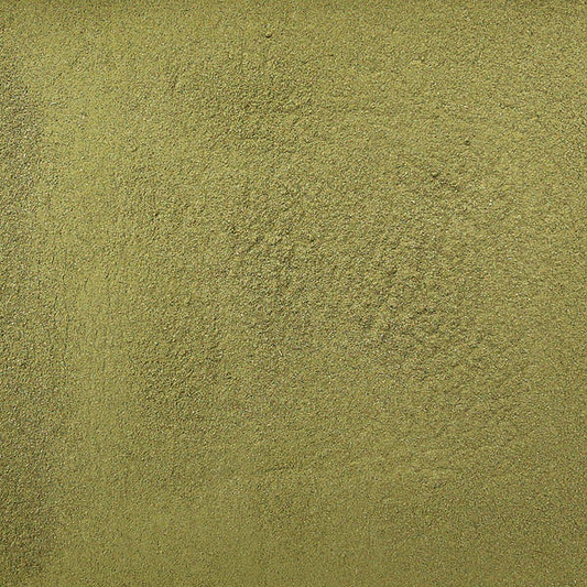 Olive Leaf Powder - Organic, 1lb