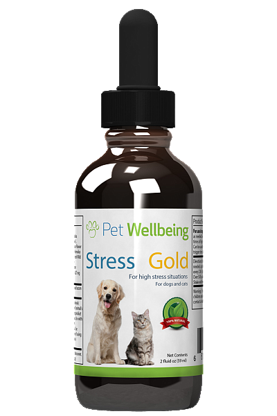 Stress Gold
