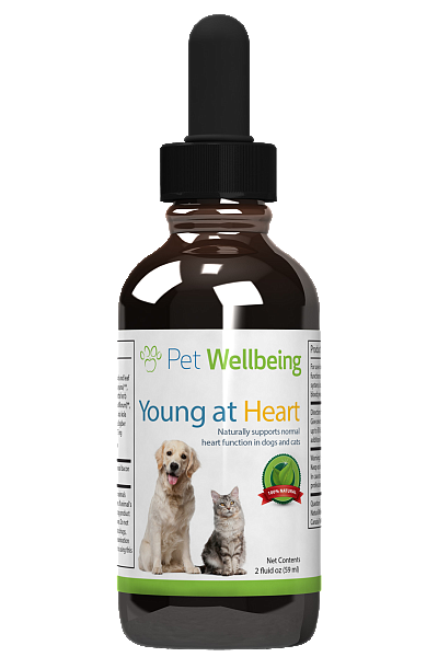 Young at Heart, 2oz, for Dogs & Cats