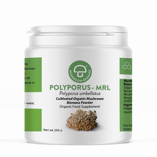 Polyporus Powder