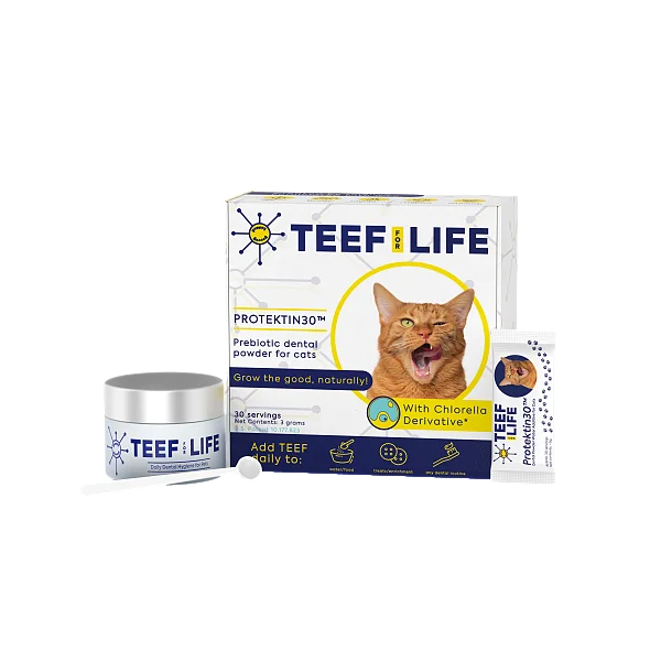 Protektin30 Powder Dental Kit for Cats, 1pk