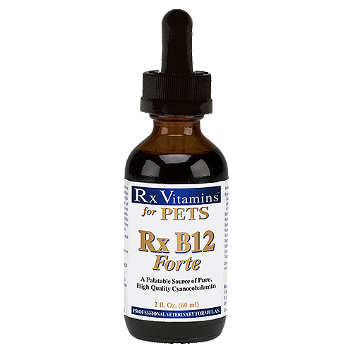 Rx B12 Forte for Pets [ EXPIRES 10-2026 ]