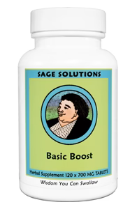 Basic Boost