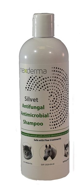 Silvet Antifungal Antimicrobial Shampoo, 4oz