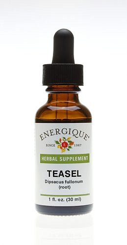Teasel Root, 1oz