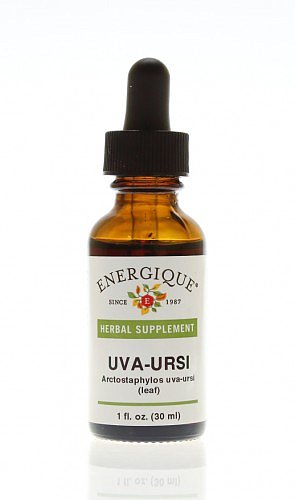 Uva Ursi Leaf, 1oz