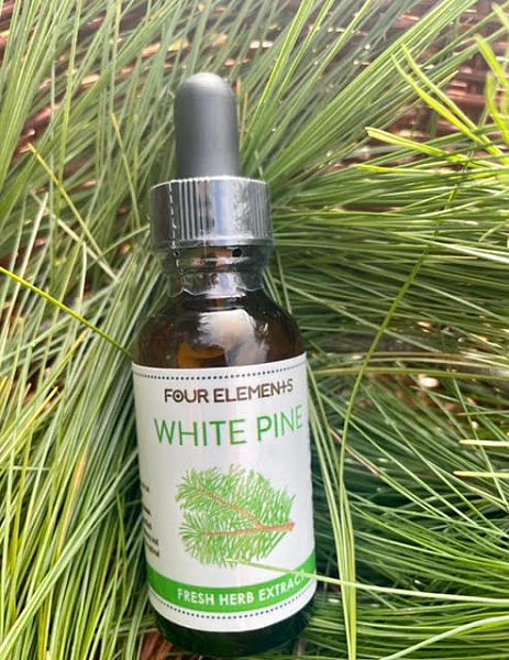 White Pine Tincture, 1oz