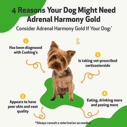 Adrenal Harmony Gold for Dogs, 2oz - Image 3