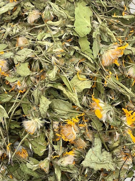 Arnica aerial in flower, 1/2lb