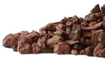 Bayberry Root Bark (Morella cerifera)