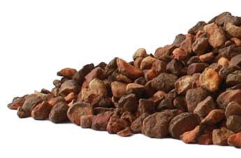 Bloodroot Root (Sanguinaria canadensis) Wild Harvested