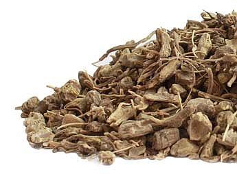 Blue Cohosh Root (Caulophyllum thalictroides) Wild Harvested