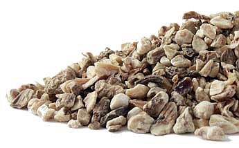 Burdock Root, organic (Arctium lappa)