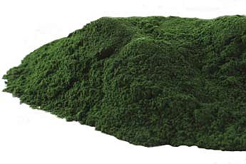 Chlorella Powder