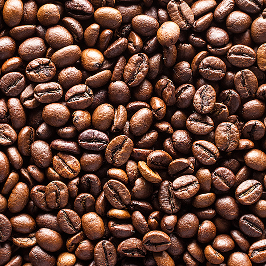 Premier Organic Sidama Coffee, 1lb - Image 2