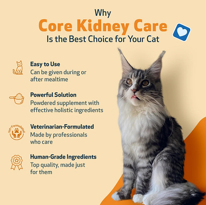 Core Kidney Care for Cats - Image 4