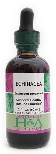 Echinacea Purpurea Extract, 8 oz. [ EXPIRES 12-2026 ]