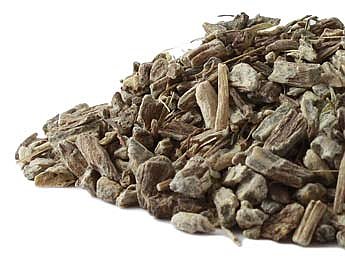 Echinacea Angustifolia Root. Organic