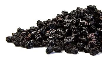 Elder Berry (Sambucus nigra), Organic