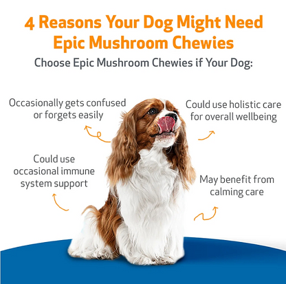Epic Mushroom Chewies for Dogs, 90ct - Image 2
