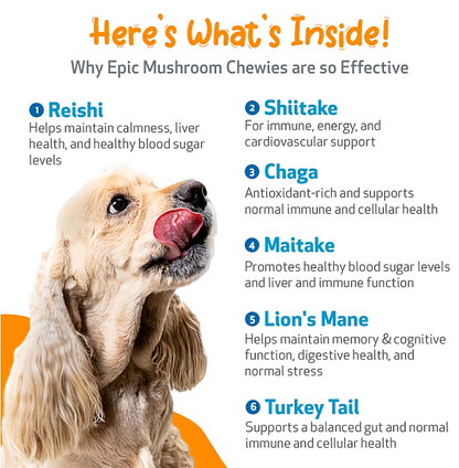Epic Mushroom Chewies for Dogs, 90ct - Image 5