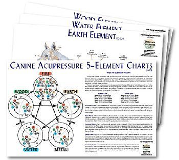 Canine 5-Element Chart Set (4 charts)