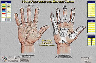 Hand Reflex Therapy Chart - Image 2