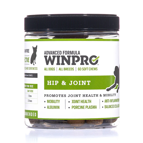 Hip & Joint, 60 chews