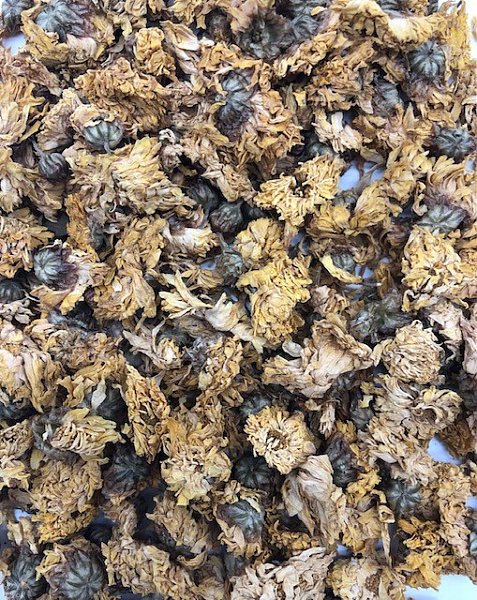 Ju Hua - Lab Tested, 1lb