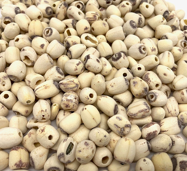 Lian Zi - Lab Tested, 1lb