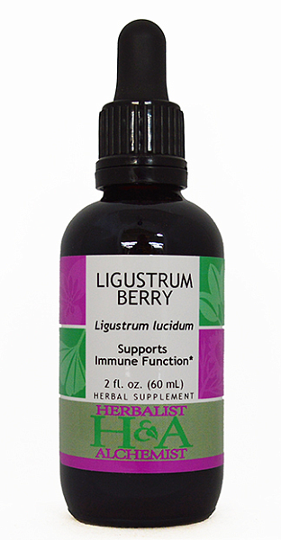 Ligustrum Berry Extract, 2 oz.