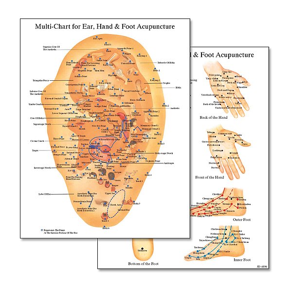 Multi-Chart for Ear Hand Foot Acupuncture