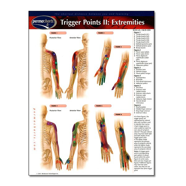 Trigger Points 2, Permachart