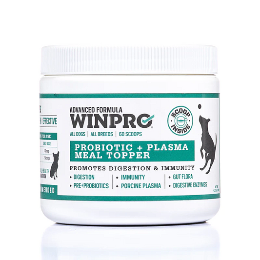 Pre+ Probiotic Plasma Meal Topper, 60 scoops