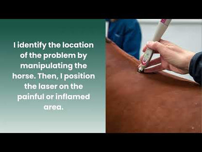 Sedatelec Premio 32 Vet Laser