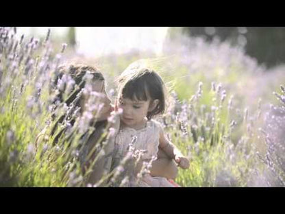 Plant Therapy Organic Lavender Essential Oil