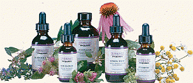 Lady's Mantle Extract, 8 oz.