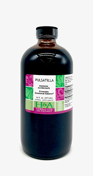 Pulsatilla (Anemone pulsatilla) fresh or dried herb or root, 16 oz.