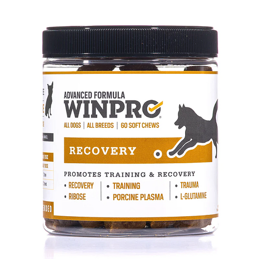 Recovery, 60 chews