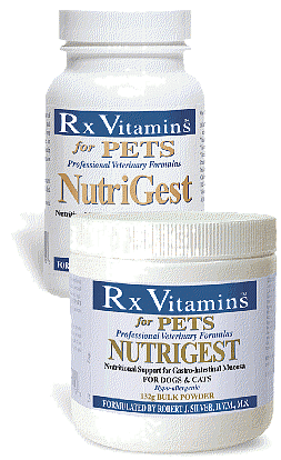 NutriGest Powder