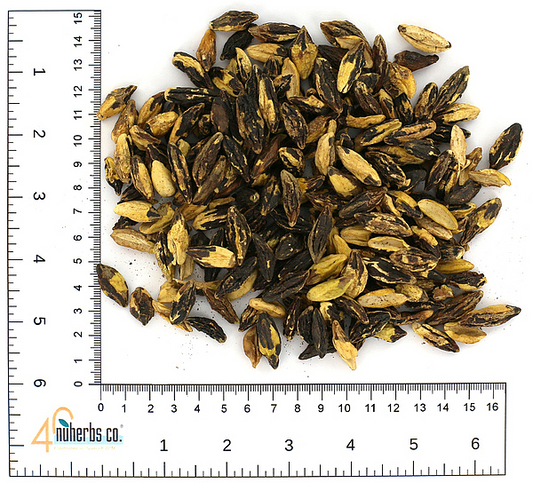 Shi Jun Zi, 1lb