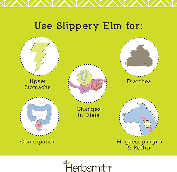 Slippery Elm, 450g (Pet) - Image 5