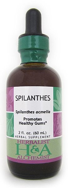Spilanthes Extract, 32 oz.