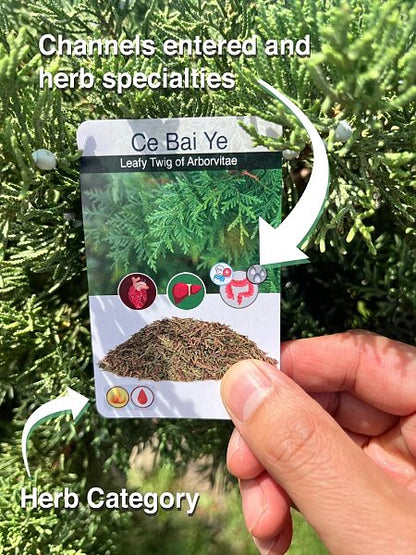TCM Single Herb Deck - 1 of 3 - Image 5