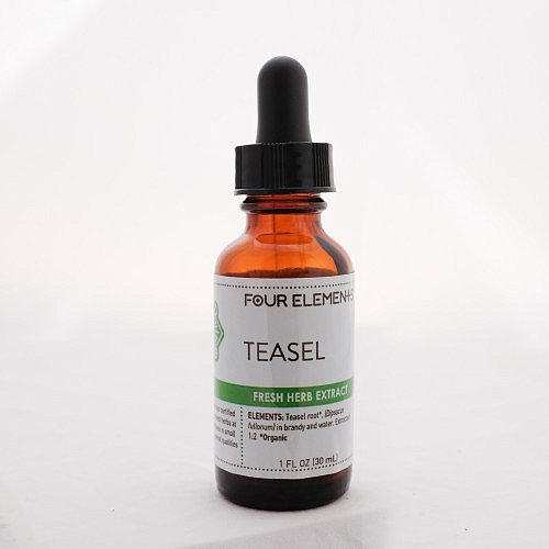 Teasel Tincture, 1 oz