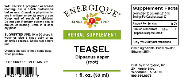 Teasel Root, 1oz - Image 2